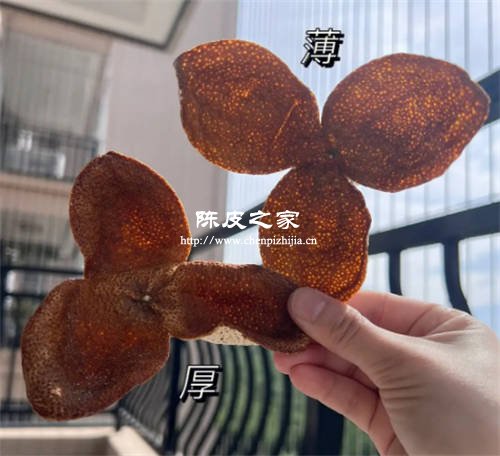 新會陳皮皮薄好還是皮厚好