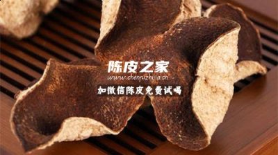 五年陳皮價(jià)格多少錢一斤