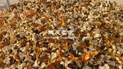 陳皮5年以后要經(jīng)常曬嗎