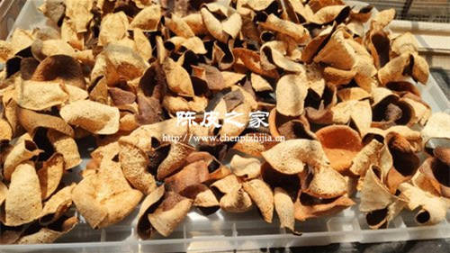 只有新會陳皮才有營養價值嗎