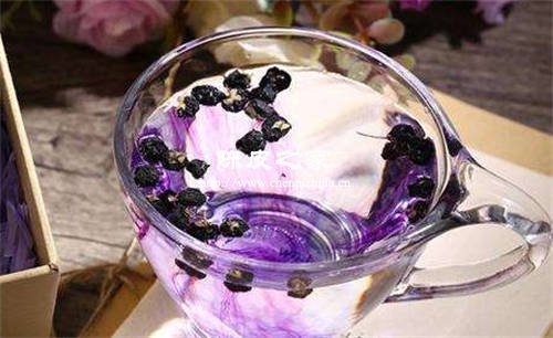 黑枸杞加陳皮泡水可以喝嗎