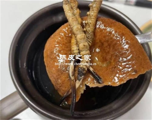 陳皮和蟲草可以一起泡水喝嗎