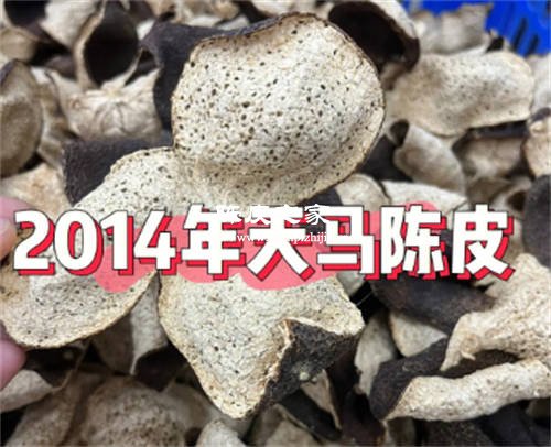 梅江陳皮和天馬陳皮哪個(gè)好