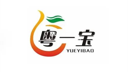 粵一寶新會陳皮公司怎么樣