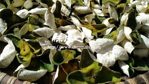 白術陳皮泡水喝的功效禁忌