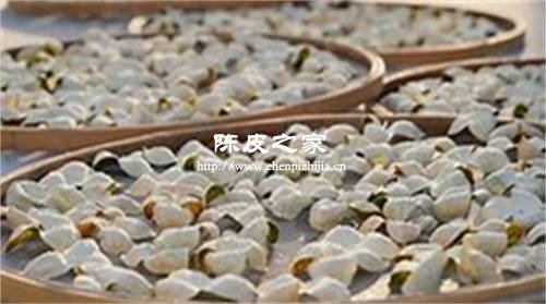 陳皮買回來可以曬太陽嗎