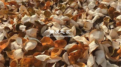 新會陳皮返潮能曬太陽嗎