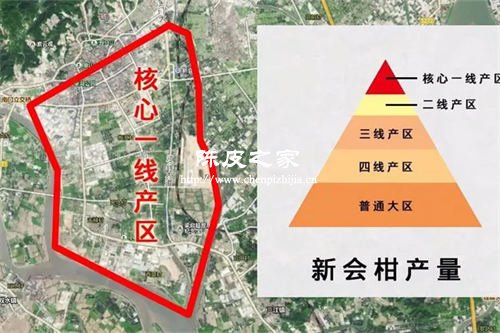 新會陳皮西甲東甲和梅江天馬的區別是什么