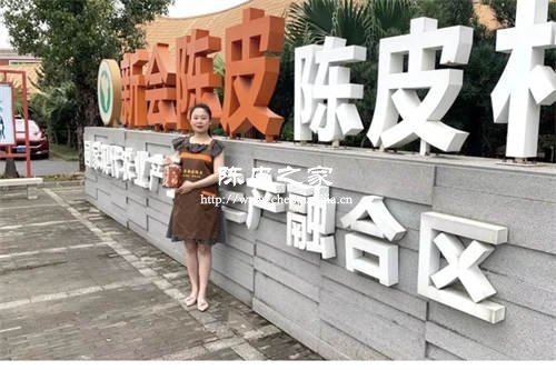 英家陳皮在哪里能買到