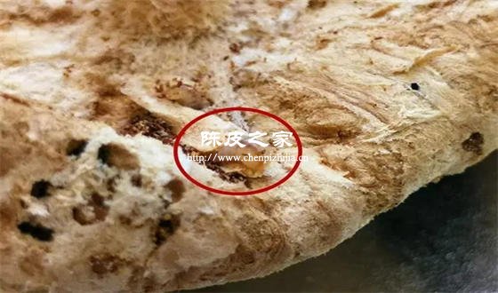 橘子皮怎樣保存才能不生蟲