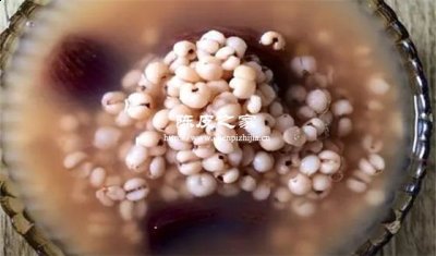 薏米陳皮怎樣泡水喝去濕氣