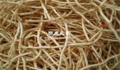 魚腥草和陳皮泡水喝的功效