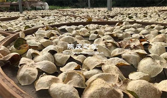 不同年份的陳皮翻曬次數一樣嗎