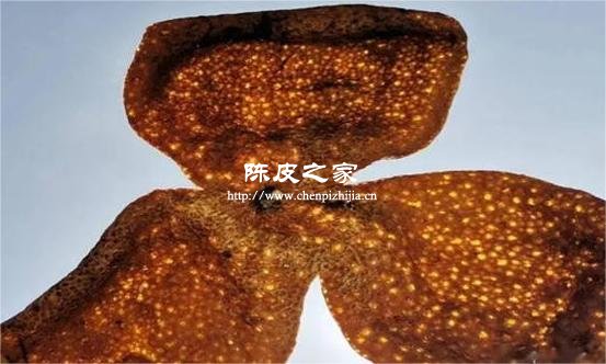 陳皮用手電筒照射不透光點的是不是做假的