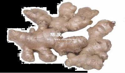 陳皮加老姜泡開水有什么功效