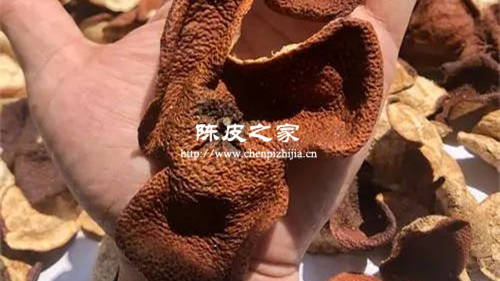 冬后皮是什么時候采摘的皮