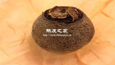 陳皮普洱外皮白毛還可以泡嗎