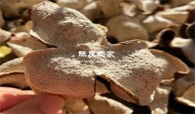 1-3年陳皮用什么保存好