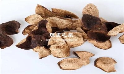 煮陳皮白蘿卜的功效與作用