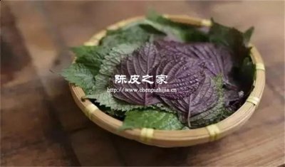 紫蘇加陳皮陳艾干姜甘草