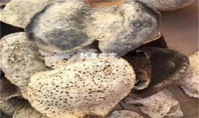 陳皮打開有股很難聞的氣味