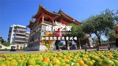 新會陳皮的產區有哪些