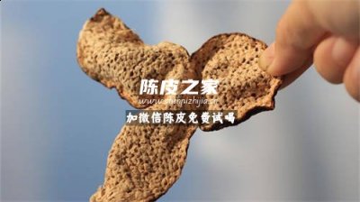 新會陳皮和廣西陳皮的區別有哪些