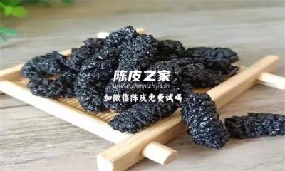 桑葚能和陳皮一起泡水喝嗎？一文詳細(xì)告訴你