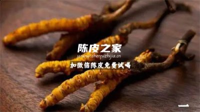 冬蟲夏草和陳皮可以一起泡水喝嗎