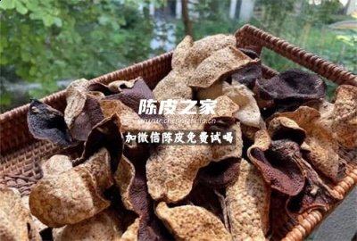陳皮枇杷葉甘草煮水的功效
