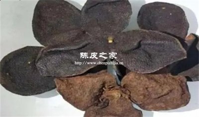 陳皮泡水以后斷皮怎么回事