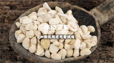 陳皮和半夏能一起泡水喝嗎