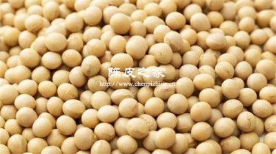 黃豆可以和陳皮一起煮嗎