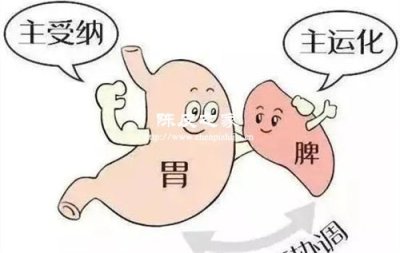 脾不好的人可以煮陳皮喝嗎