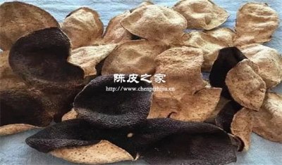 陳皮十年真的是放了十年嗎