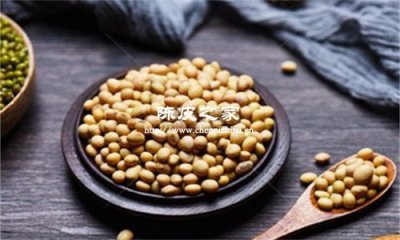 黃豆加陳皮煮水喝什么功效