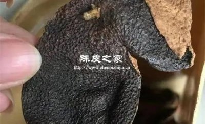 有一股煙熏味的陳皮是什么