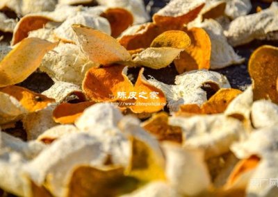 新會陳皮新曬好的皮發黃正常嗎