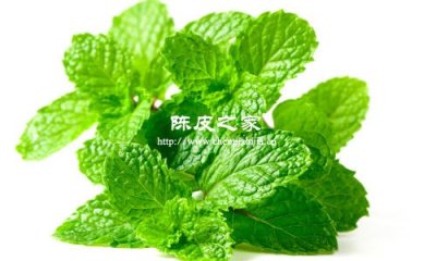 陳皮與薄荷能一起煮水喝嗎