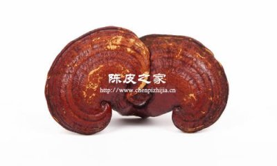 靈芝陳皮枸杞泡水飲有什么功效