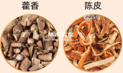 陳皮藿香泡水喝的功效與作用