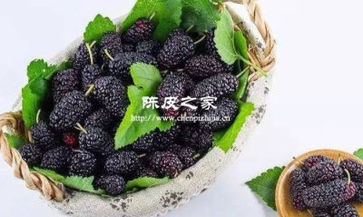 桑椹陳皮泡水的功效