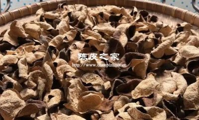 陳皮一般一年復太曬多久好