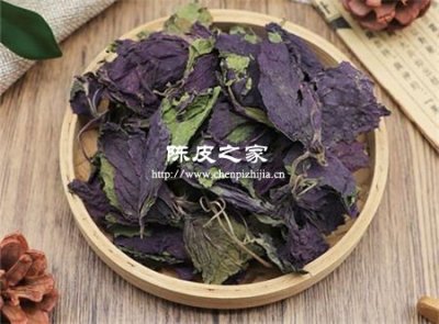 紫蘇和陳皮煮水的功效與作用