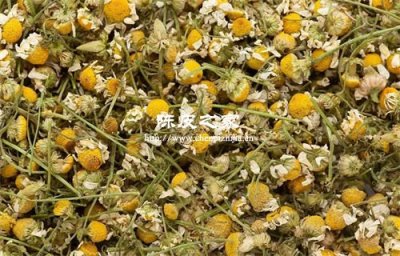 雪菊甘草陳皮一起泡水的功效