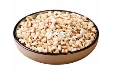 梔子薏米陳皮泡水喝的功效