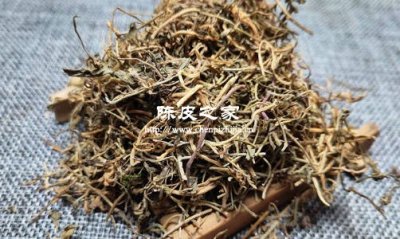 半邊蓮陳皮能不能一起煮水