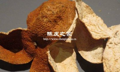 調理腸胃要生陳皮還是制陣皮