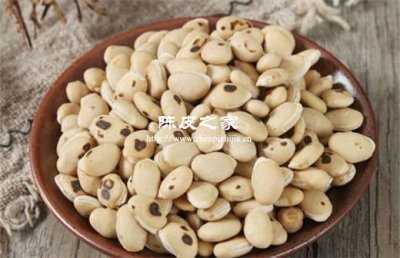 炒白扁豆茯苓陳皮的功效與作用