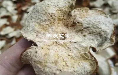 陳皮里面的白筋膜要去掉嗎